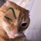 :badmeow: